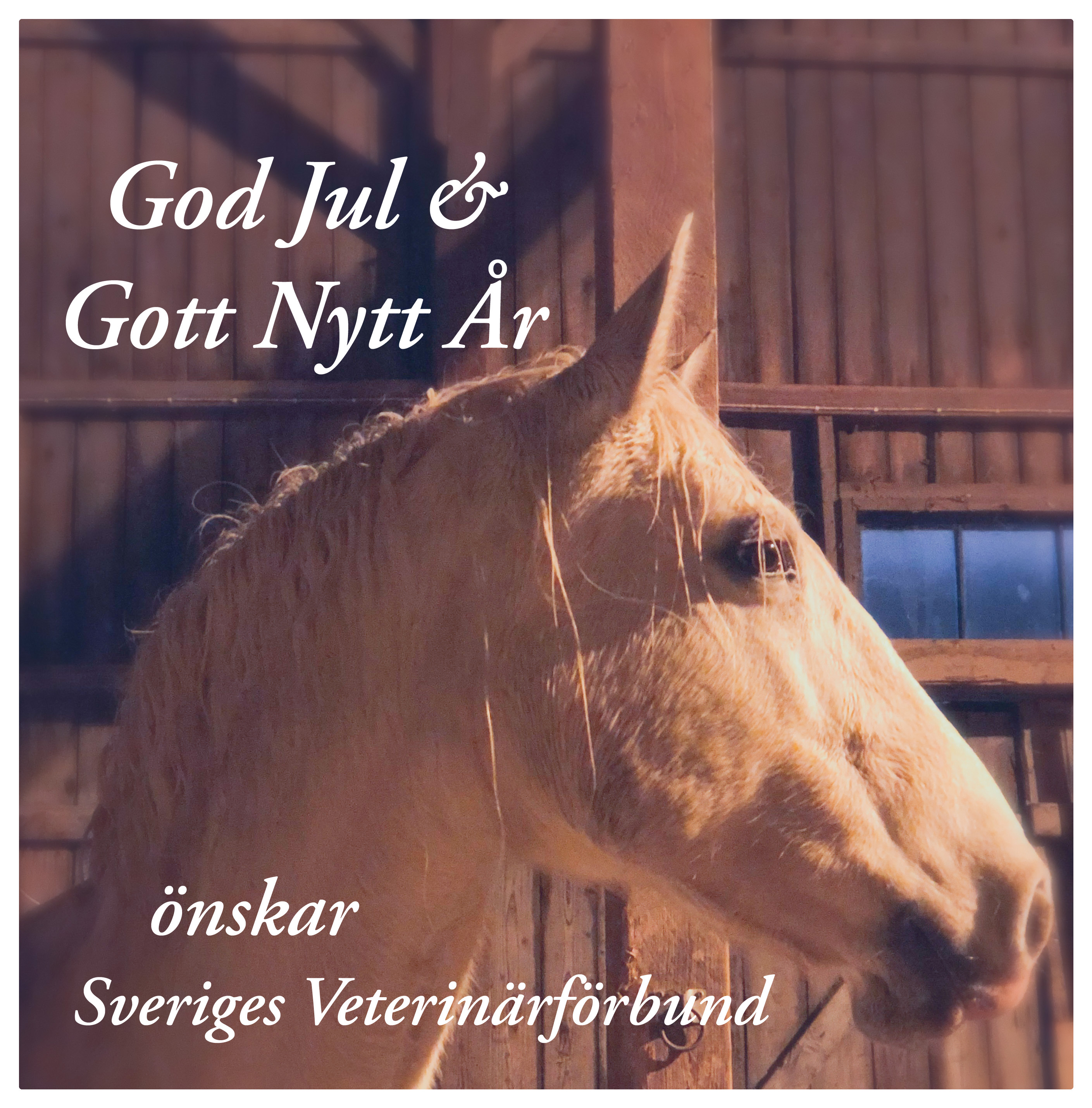 3563A9B0 F65B 4D17 88F7 A1084909AC91