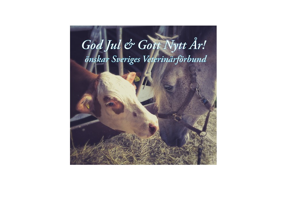 God Jul Hemsidan (1)